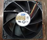 فن ماینینگ avc
